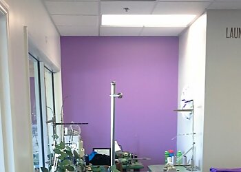 Thousand Oaks Dry Cleaners North Ranch Cleaners II