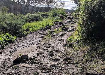 North Shore Lake Hodges Trailhead - Escondido, CA Hiking Trails - Trail Image