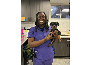 Jackson Veterinary Clinics North State Animal & Bird Hospital