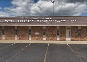 Sterling Heights veterinary clinic North Suburban Veterinary Hospital