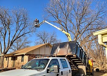 Wichita Falls Tree Services North Texas Tree Expert Company LLC