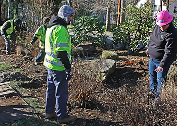 Bridgeport Tree Services Northeast Horticultural Services