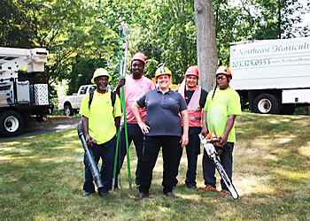 Bridgeport Tree Services Northeast Horticultural Services