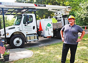Northeast Horticultural Services Bridgeport Tree Services image 1