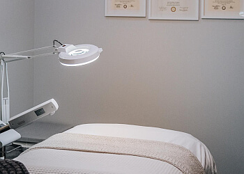 St Paul Spas Northern Aura Wellness