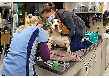 Rochester Veterinary Clinics Northern Valley Animal Clinic