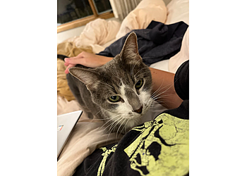 Rochester Veterinary Clinics Northern Valley Animal Clinic