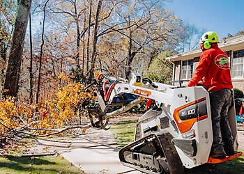 Atlanta Tree Services Northside Tree Professionals
