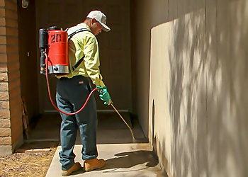 Tucson Pest Control Companies Northwest Exterminating Tucson