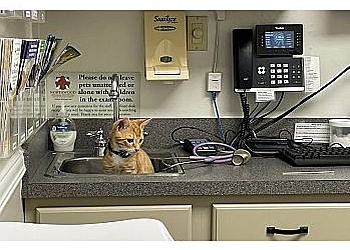 Tallahassee Veterinary Clinics Northwood Animal Hospital