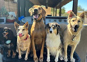 Tucson Dog Walkers Nunn Better