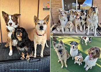 Tucson Dog Walkers Nunn Better