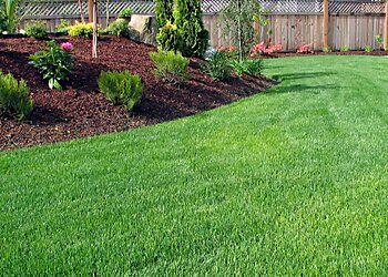 Newport Beach Lawn Care Services OC Garden Service