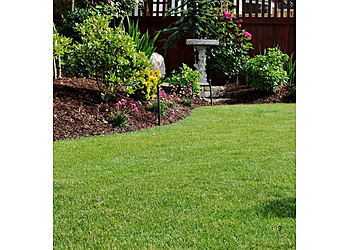 Santa Ana Lawn Care Services OC Lawn Pro's