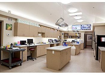 Irving Veterinary Clinics O'Connor Animal Hospital