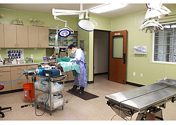 Irving Veterinary Clinics O'Connor Animal Hospital