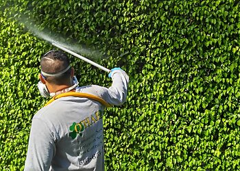 West Palm Beach Landscaping Companies O'Hara Landscape & Maintenance Inc.