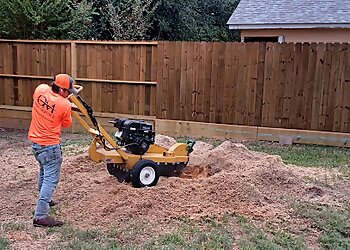 Houston Tree Services OM Tree Service