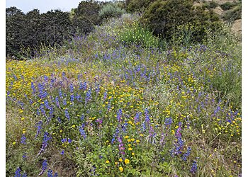 Anaheim Hiking Trails Oak Canyon Nature Center