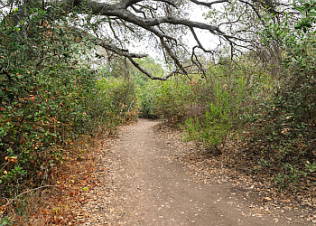 Oak Riparian Park - Oceanside, CA Hiking Trails - Attraction Image
