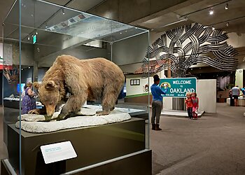 Oakland Places To See Oakland Museum of California