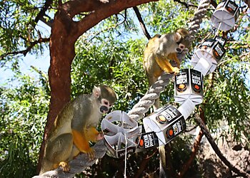 Oakland Places To See Oakland Zoo