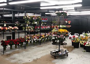 Dayton Florists Oberer's Flowers