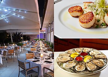 Tampa Seafood Restaurants Ocean Prime