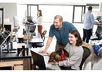 Seattle Advertising Agencies Odd Dog Media