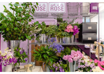 Ode à la ROSE Ode à la ROSE