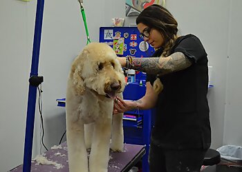 Richardson Pet Grooming Odyssey Pets