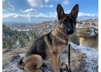 Colorado Springs dog training Off Leash K9 Training
