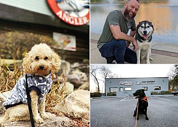 Virginia Beach Dog Training Off Leash K9 Training Hampton Roads