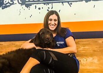 Atlanta Dog Training Off Leash K9 Training, LLC