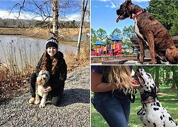 Atlanta Dog Training Off Leash K9 Training, LLC