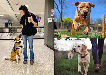 San Antonio Dog Training Off Leash K9 Training, LLC