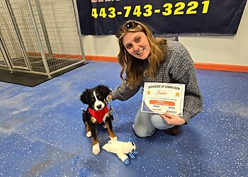 Baltimore Dog Training Off Leash K9 Training Maryland