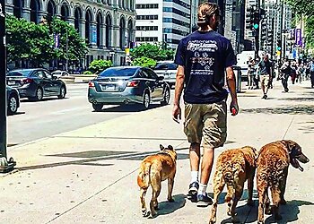 Philadelphia Dog Training Off Leash K9 Training Philadelphia, LLC