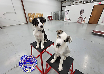 Off Leash K9 Training Texas - Carrollton, TX Dog Training - Service Highlights