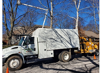 Kansas City tree service Ofilio Tree Service & Lawn Service 