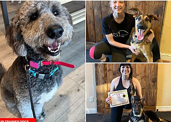 Fresno Dog Training Ohana K9 Academy