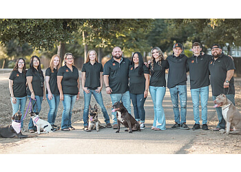 Ohana K9 Academy Fresno Dog Training