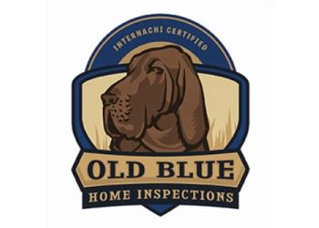 Old Blue Home Inspections