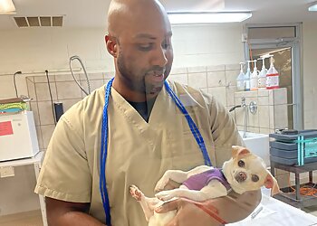 Winston Salem Veterinary Clinics Oldtown Veterinary Hospital