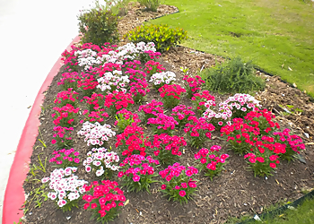 Beaumont Landscaping Companies Olguin Bros. Landscape and Irrigation