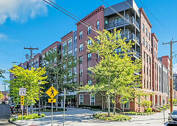 Olive and Wooster Apartments New Haven Apartments For Rent image 1