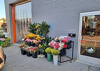 Pittsburgh Florists Oliver Flower Shop