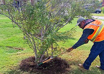 Laredo Landscaping Companies Olympia Landscape Development Inc.
