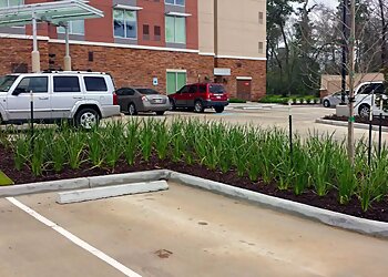 Laredo Landscaping Companies Olympia Landscape Development Inc.