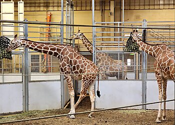 Omaha Places To See Omaha's Henry Doorly Zoo and Aquarium